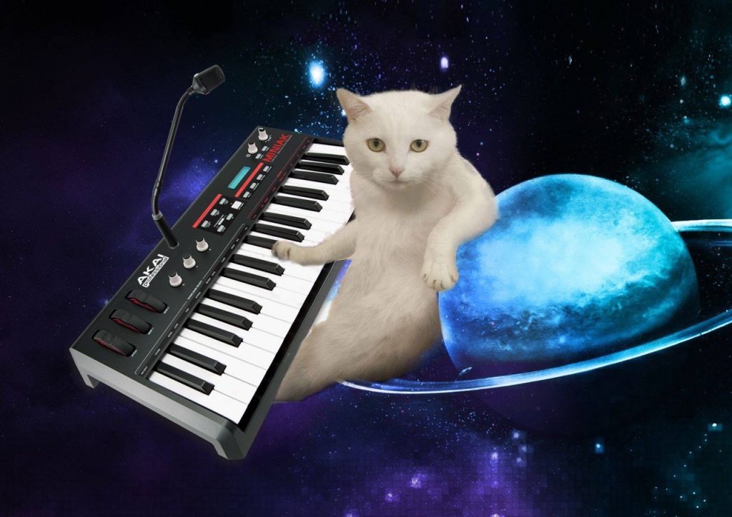 Let's Be Brief | Cats on Synthesizers in Space